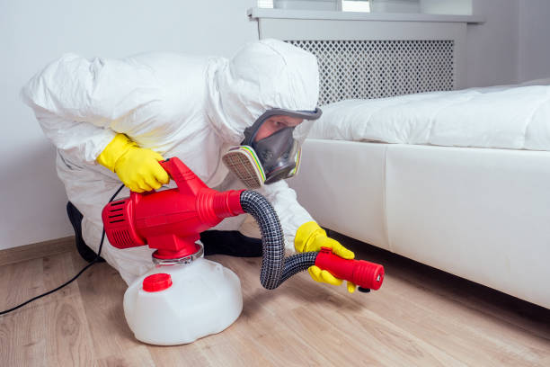 Best Residential Pest Control  in Byron, CA